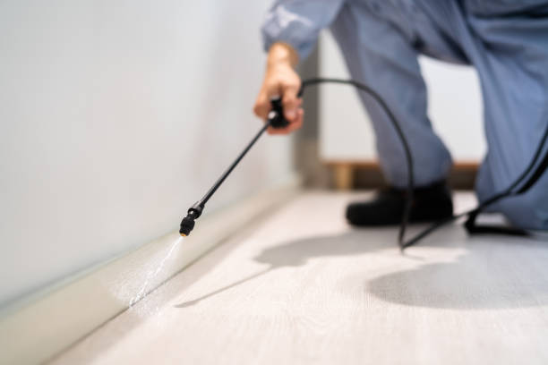 Licensed Termite Control service in Fort Atkinson, WI - Nex Pest Control