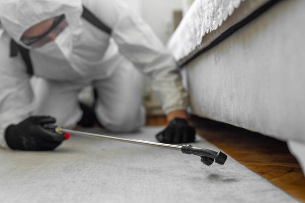 Professional Termite Control technician working in Fort Atkinson, WI