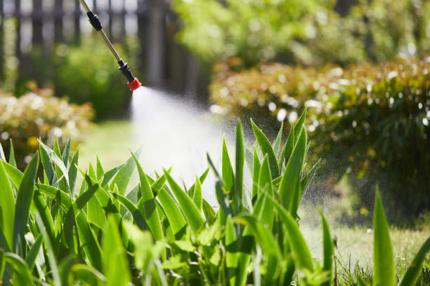 24/7 Emergency Termite Control experts in Fort Atkinson, WI