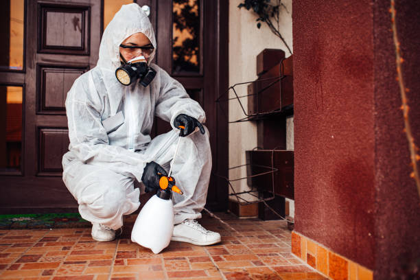 Reliable Termite Control contractor in Fort Atkinson, WI by Nex Pest Control